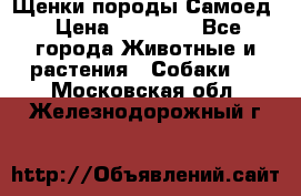 Щенки породы Самоед › Цена ­ 20 000 - Все города Животные и растения » Собаки   . Московская обл.,Железнодорожный г.